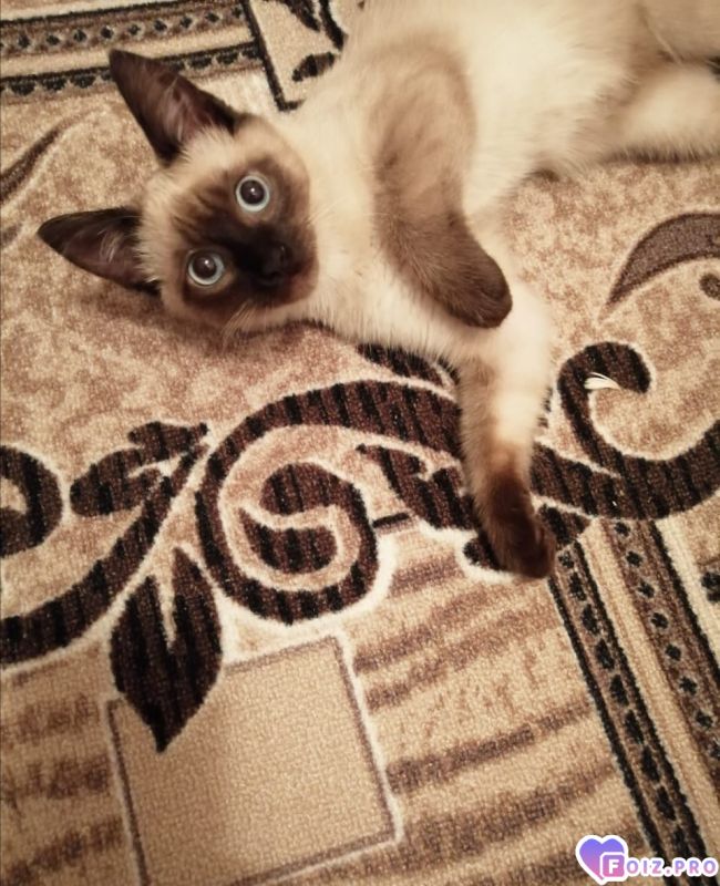 -290808-Отдыхаем-