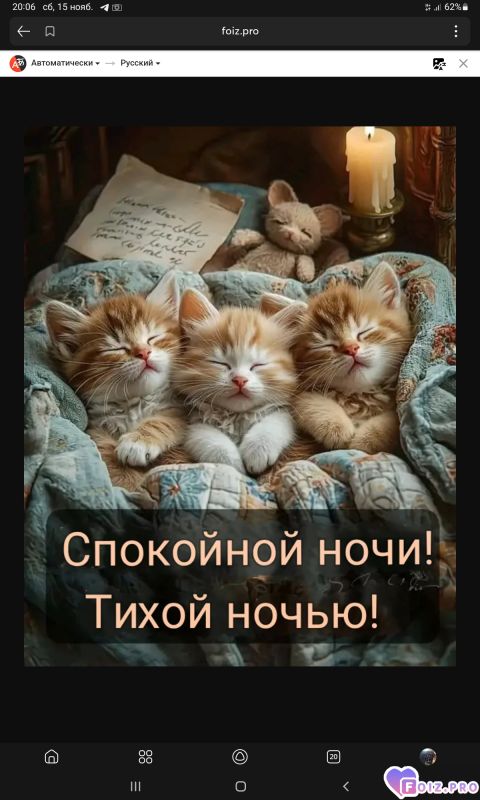 -Три-Котика-