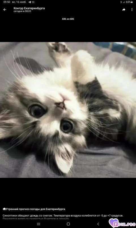 -Доброе-утро-