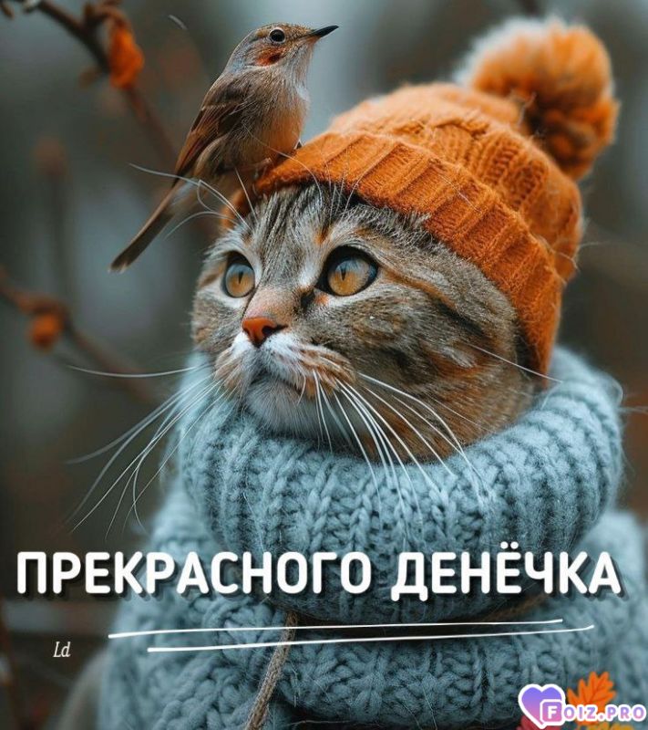 -Хорошего-Дня-