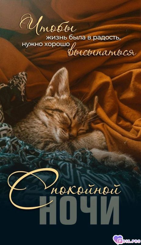 -Доброй-Ночки-