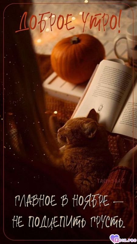 -Осень-Главное-