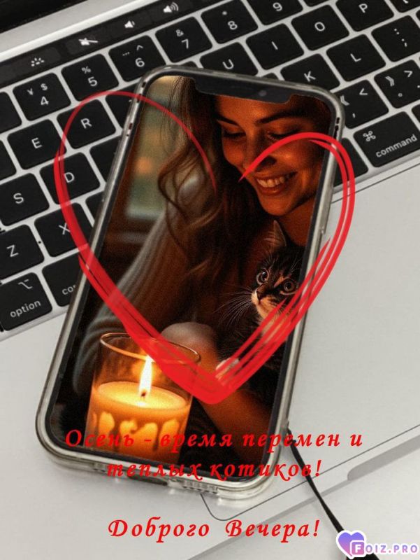 -Теплый-котик-