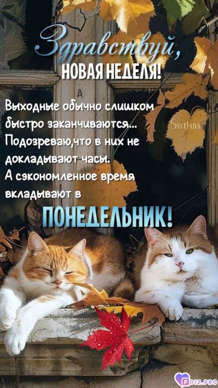-Короткие-Выходные-
