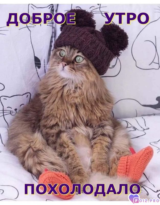 -Похолодало-