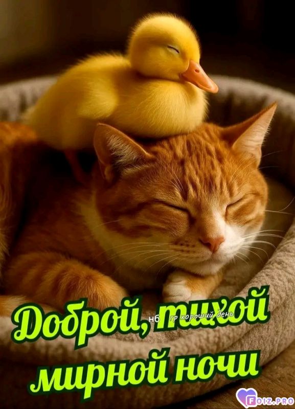 -Тихая-Ночка-