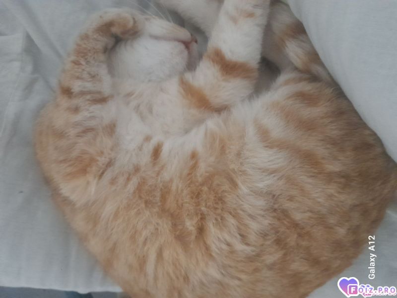 -429813-Отдыхаем-