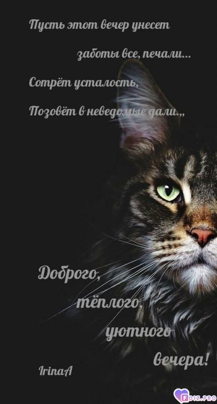 -Уютного-Вечера-