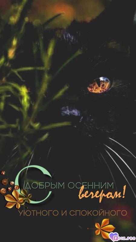 -Осень-Вечер-