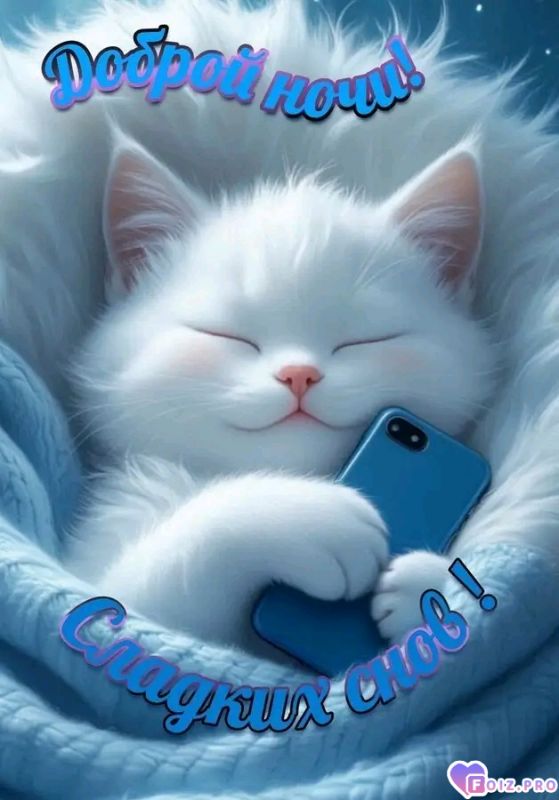 -Доброй-Ночки-