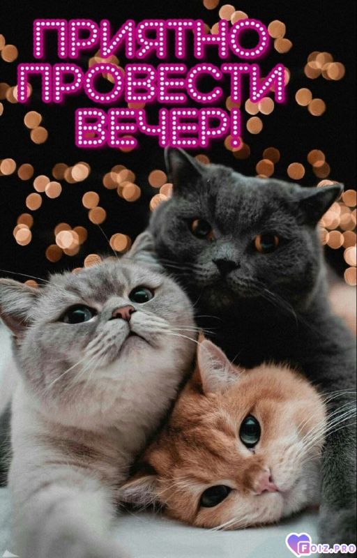 -Приятный-Вечер-