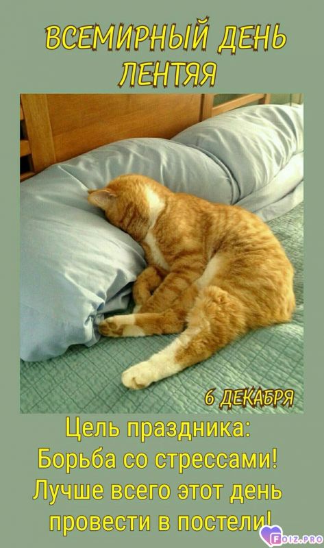 -День-Лентяя-