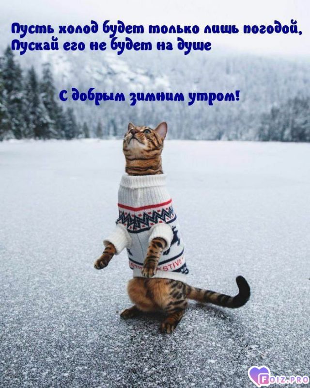 -Зимнее-утро-