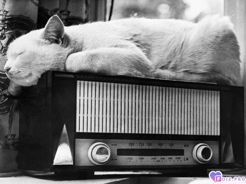 -Хорошее-Место-