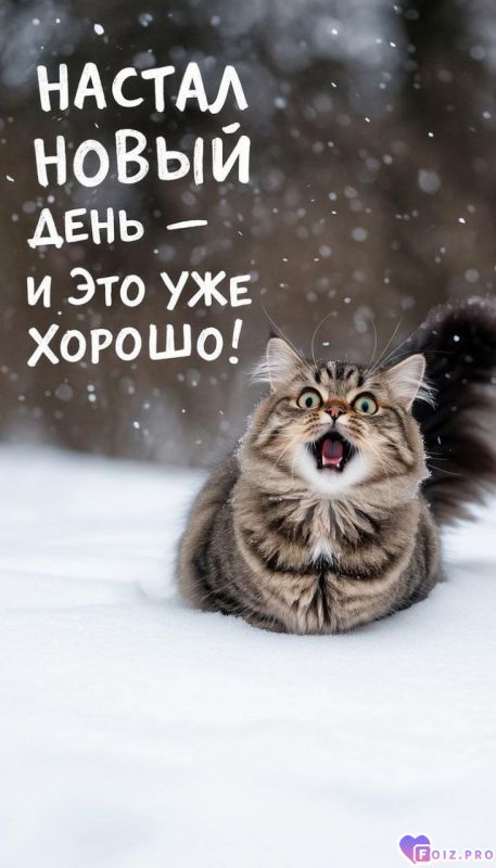 -Новый-День-