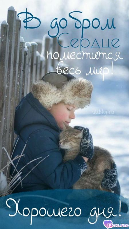 -Доброе-Сердце-