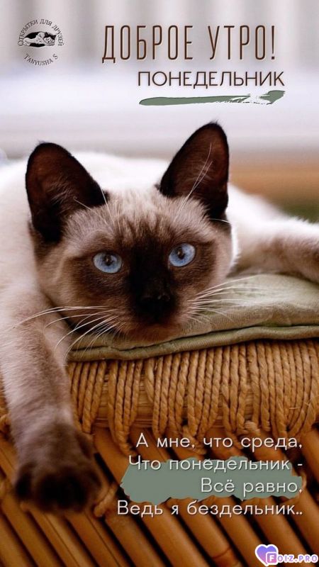 -Бездельник-