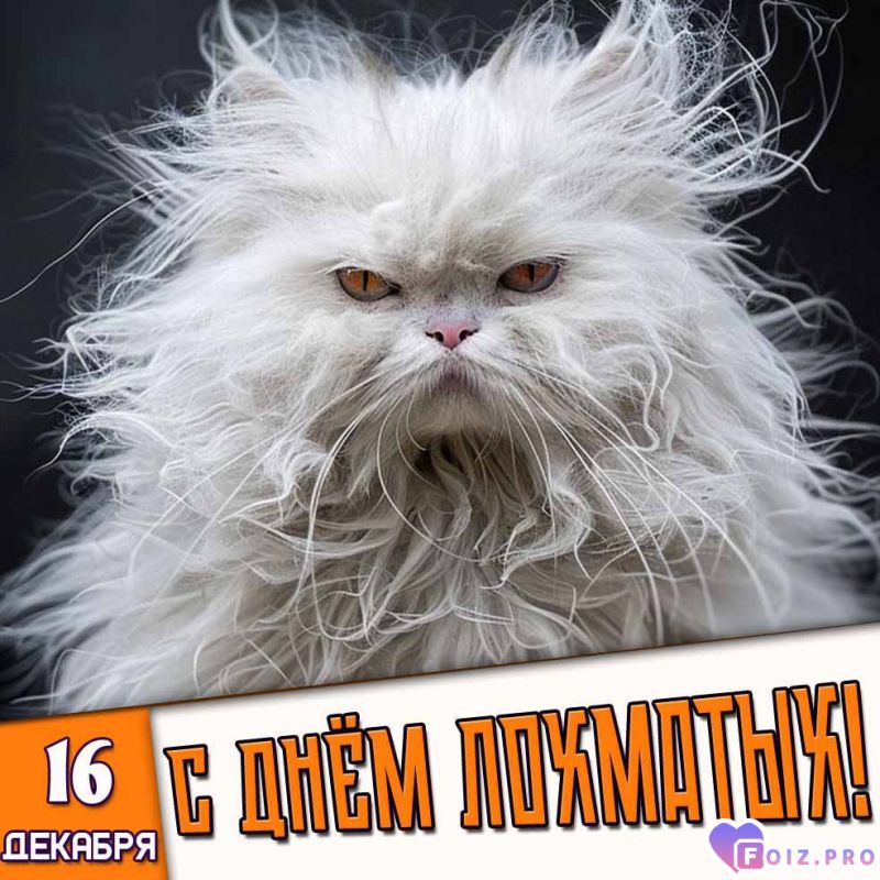 -День-Лохматых-