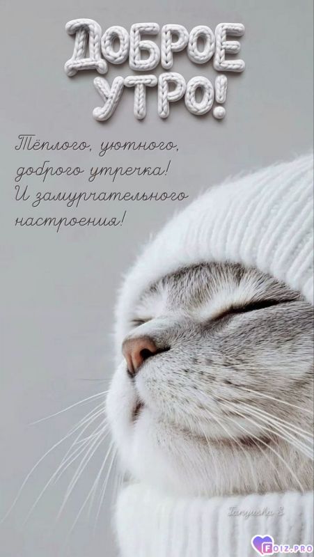 -Доброе-утро-