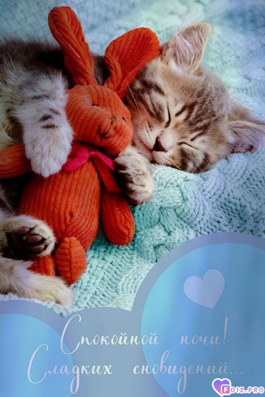 -Доброй-Ночки-1-