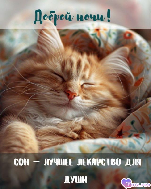 -Доброй-Ночки-