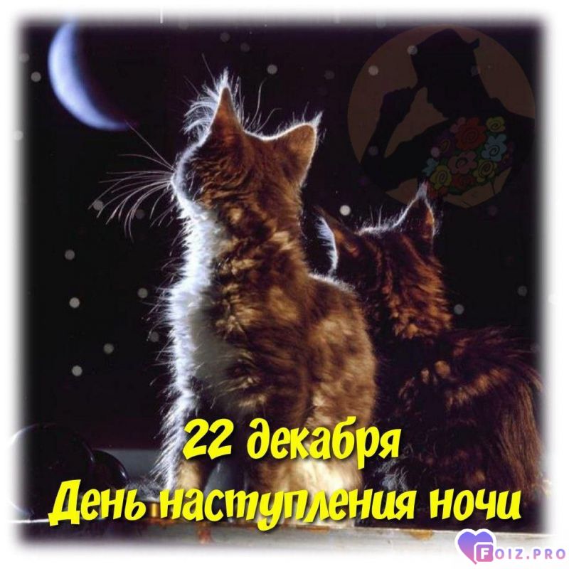 -Короткая-Ночь-
