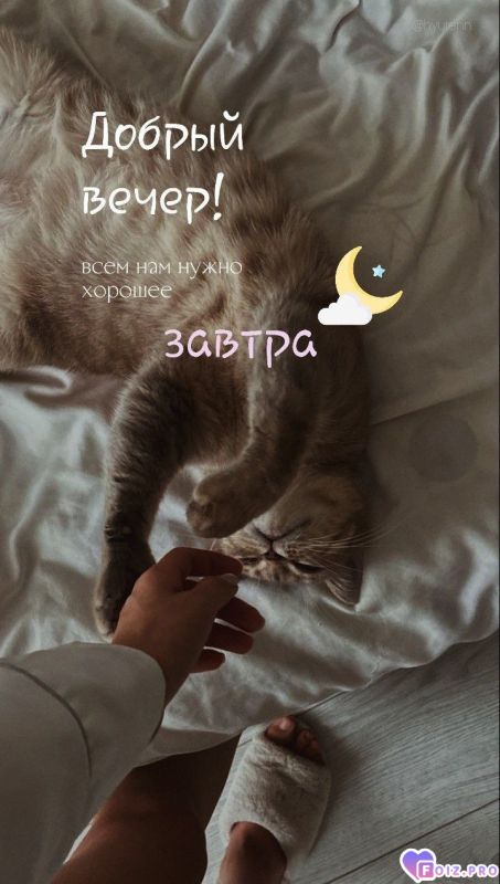 -Хорошее-Завтра-