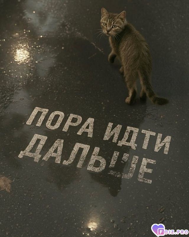 -278857-Иду-Дальше-