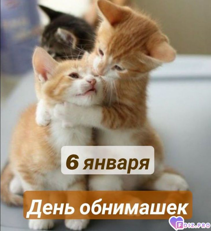 -День-Обнимашек-