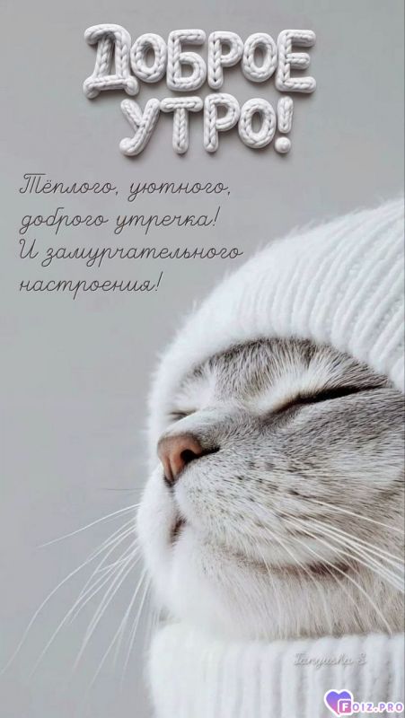 -Теплое-утро-