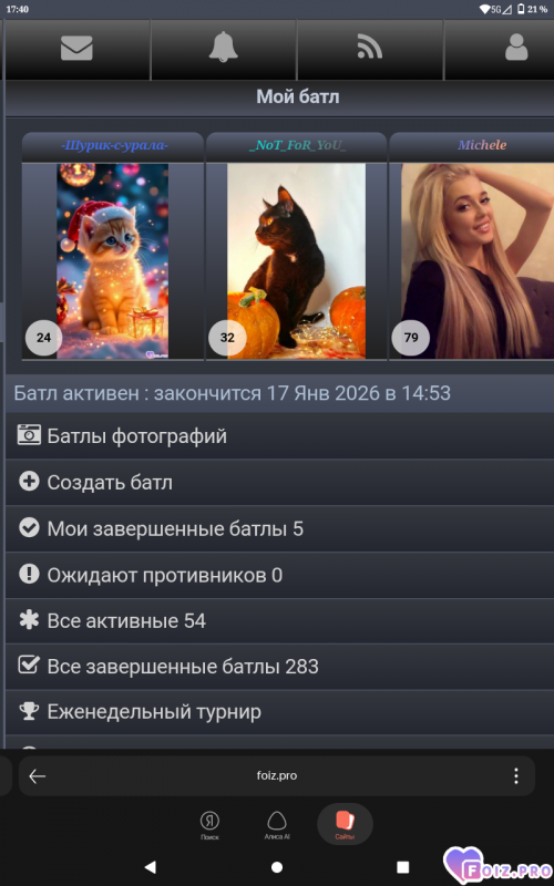 -2-котика-смотрятся-