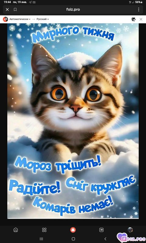 -Морозное-утро-