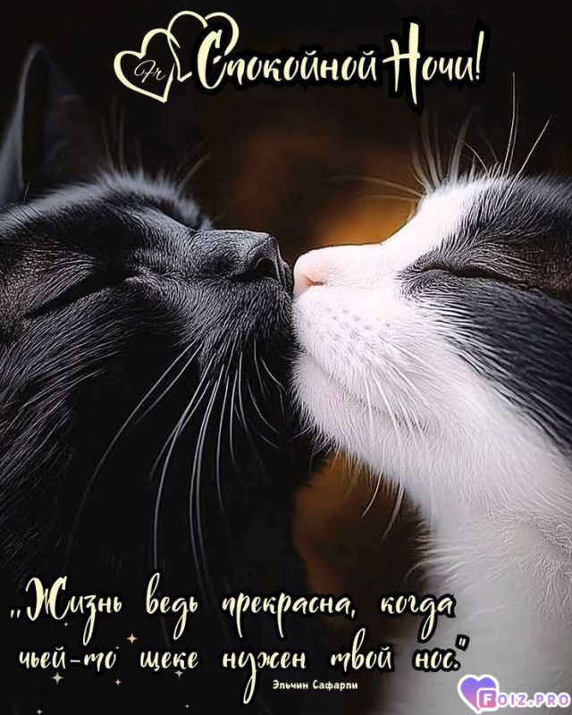 -Щека-и-Нос-