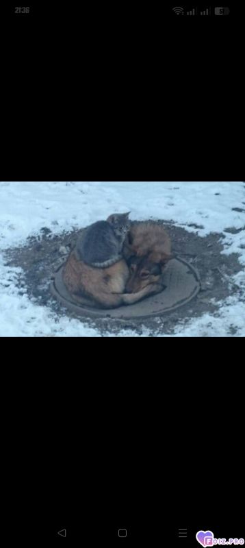 -Вместе-Теплее-