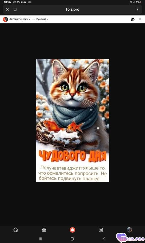 -Чудного-Дня-