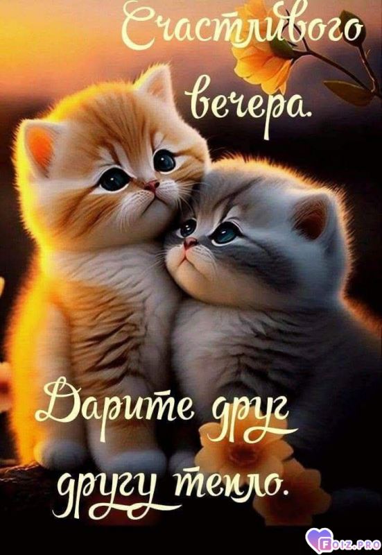 -Дарите-Тепло-