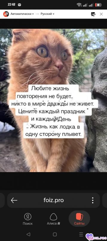 -Любите-Жизнь-