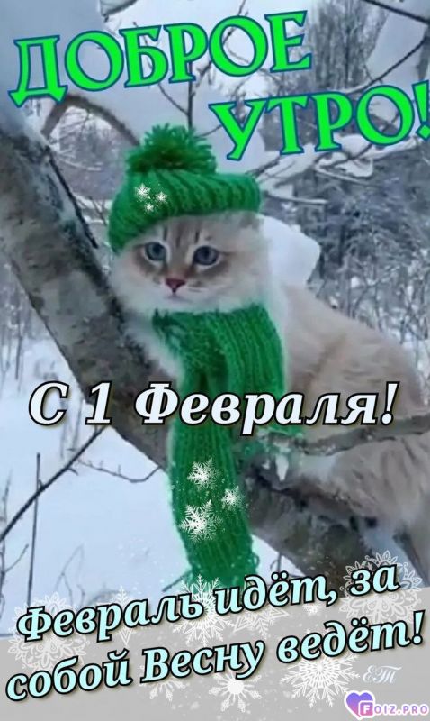 -Первое-Число-