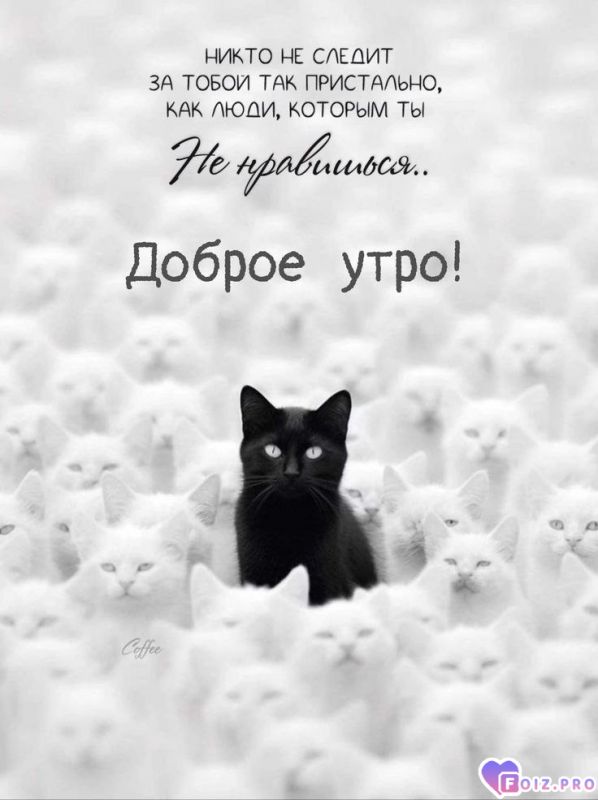 -Наблюдатели-