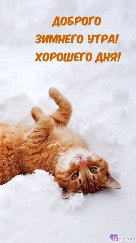 -Зимнее-утро-