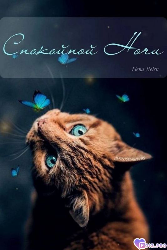 -Спокойной-Ночки-