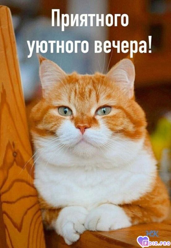 -Приятный-Вечер-