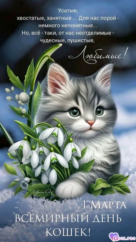 -День-Кошек-