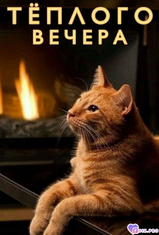 -Теплый-Вечер-