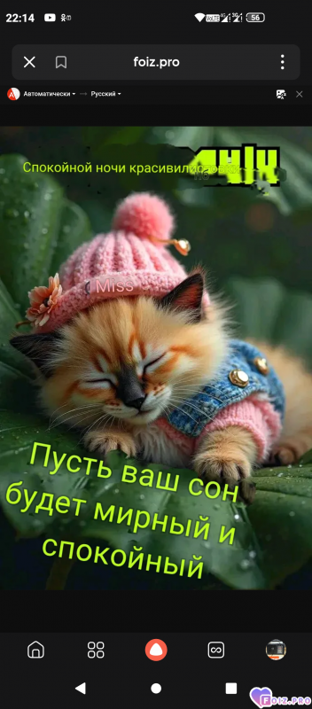 -Доброй-Ночки-