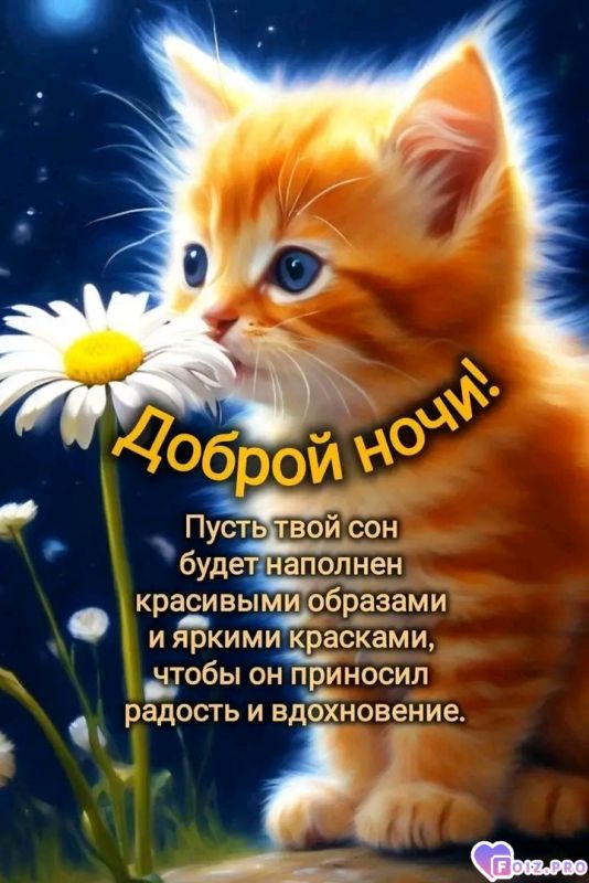 -Доброй-Ночки-