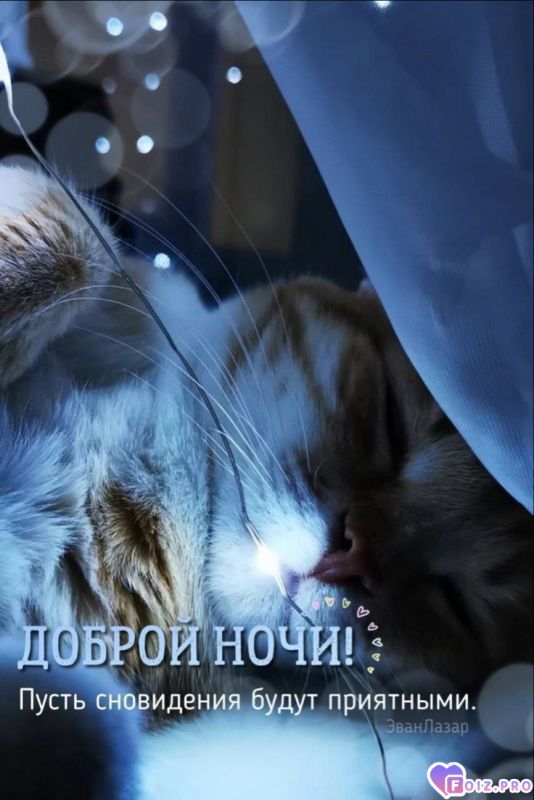 -Сновидения-