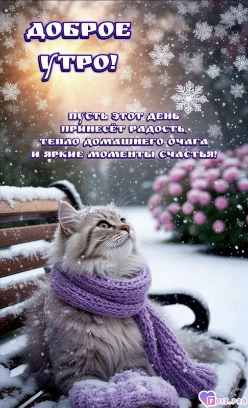 -Моменты-Счастья-