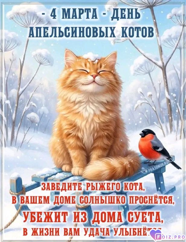 -Апельсиновый-Котик-