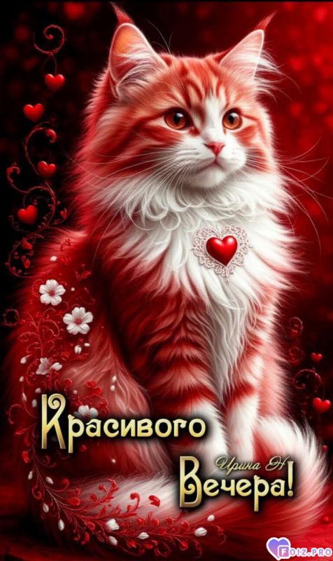 -Красивый-Вечер-